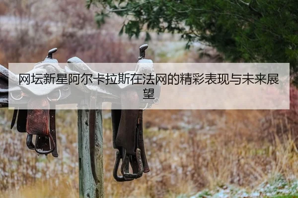 网坛新星阿尔卡拉斯在法网的精彩表现与未来展望
